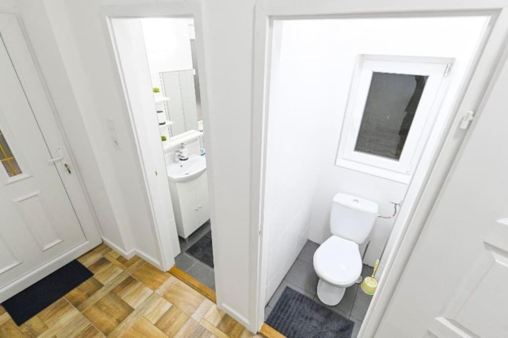 Lovely Studio Flat In Damjanich Street - Leonard بودابست المظهر الخارجي الصورة