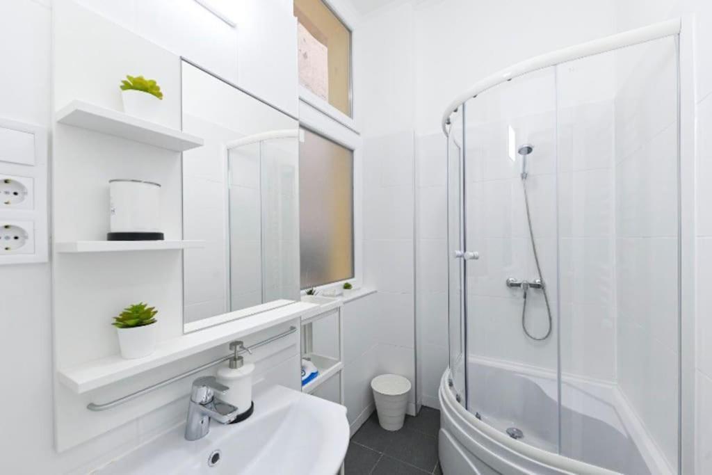 Lovely Studio Flat In Damjanich Street - Leonard بودابست المظهر الخارجي الصورة