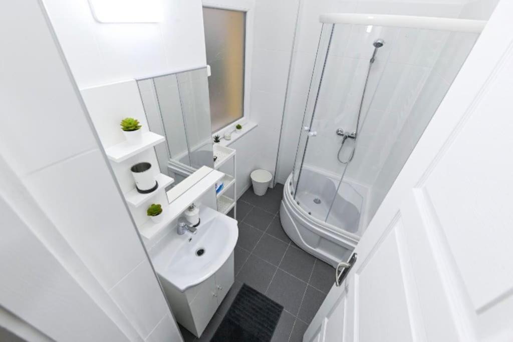 Lovely Studio Flat In Damjanich Street - Leonard بودابست المظهر الخارجي الصورة